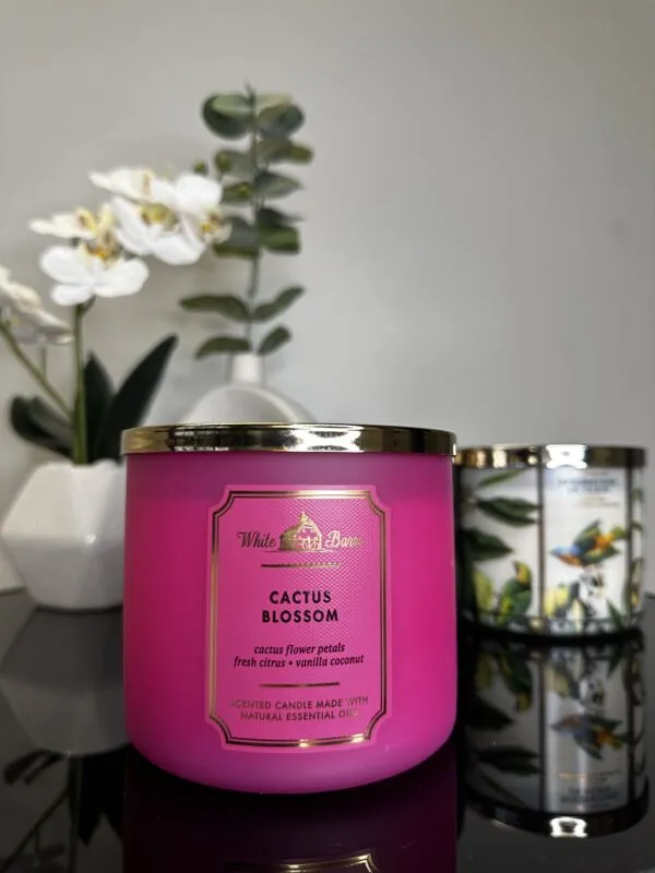 Vela Cactus Blossom 411g - Imagem 2
