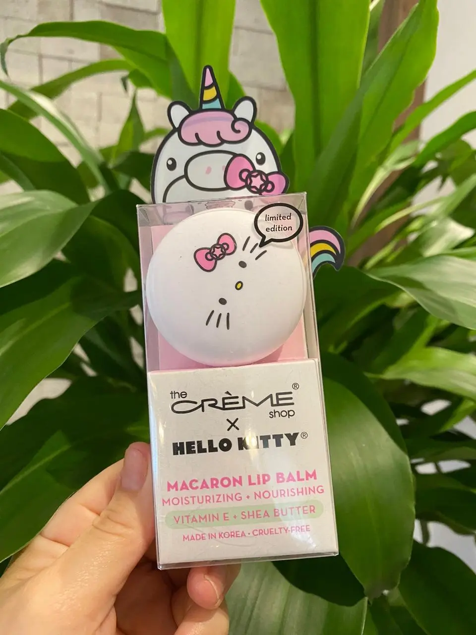 Macaron Lip Balm Hello Kitty