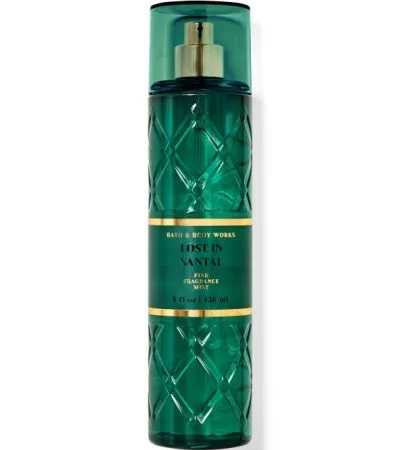 Fine Fragrance Lost in Santal 236ml